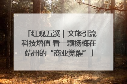 红观五溪｜文旅引流 科技增值 看一颗杨梅在靖州的“商业觉醒”