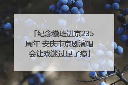 纪念徽班进京235周年 安庆市京剧演唱会让戏迷过足了瘾