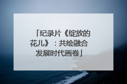 纪录片《绽放的花儿》：共绘融合发展时代画卷