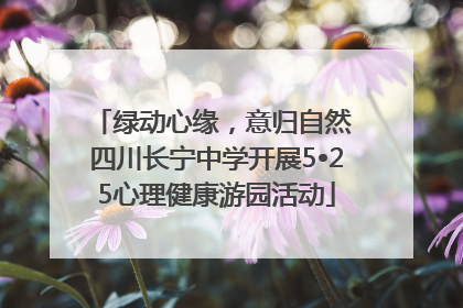 绿动心缘，意归自然 四川长宁中学开展5•25心理健康游园活动