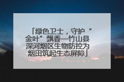 绿色卫士，守护“金叶”飘香—竹山县深河烟区生物防控为烟田筑起生态屏障