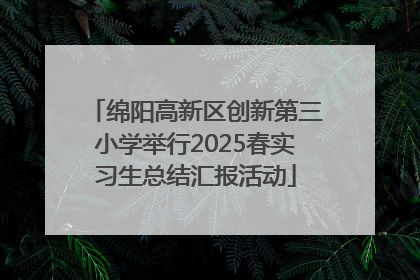 绵阳高新区创新第三小学举行2025春实习生总结汇报活动