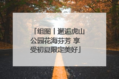 组图丨邂逅虎山公园花海芬芳 享受初夏限定美好
