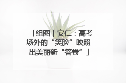组图｜安仁：高考场外的“笑脸”映照出美丽新“答卷”