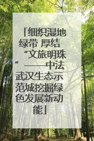 细织湿地绿带 厚结“文旅明珠”——中法武汉生态示范城挖掘绿色发展新动能