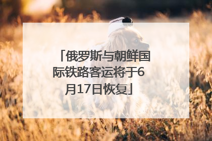 俄罗斯与朝鲜国际铁路客运将于6月17日恢复