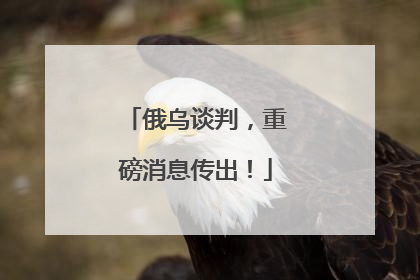 俄乌谈判，重磅消息传出！