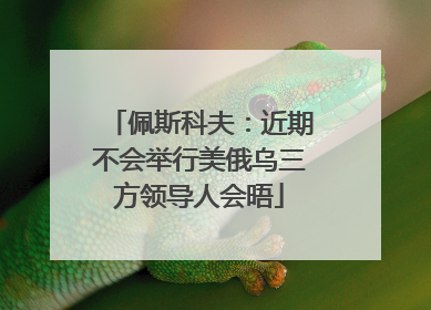 佩斯科夫：近期不会举行美俄乌三方领导人会晤