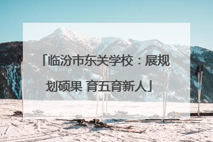临汾市东关学校：展规划硕果 育五育新人