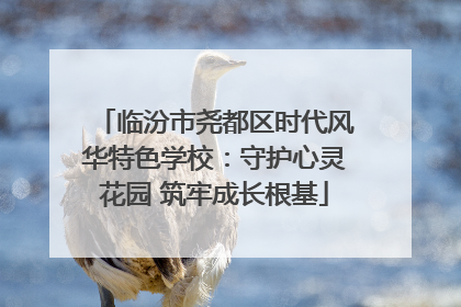 临汾市尧都区时代风华特色学校：守护心灵花园 筑牢成长根基