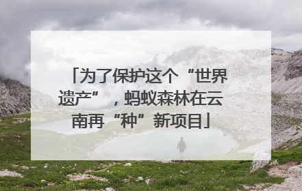 为了保护这个“世界遗产”，蚂蚁森林在云南再“种”新项目