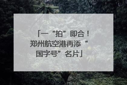 一“拍”即合！郑州航空港再添“国字号”名片