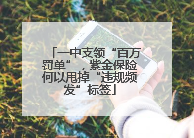 一中支领“百万罚单”，紫金保险何以甩掉“违规频发”标签