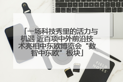 一场科技秀里的活力与机遇 近百项中外前沿技术亮相中东欧博览会“数智中东欧”板块