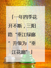 一年四季花开不断，三阳路“垂江绿廊”升级为“垂江花廊”
