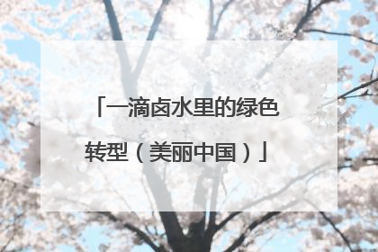 一滴卤水里的绿色转型（美丽中国）