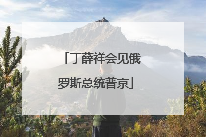 丁薛祥会见俄罗斯总统普京