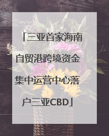 三亚首家海南自贸港跨境资金集中运营中心落户三亚CBD