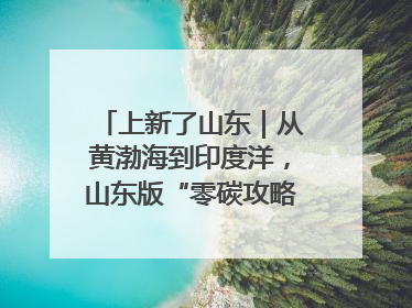 上新了山东｜从黄渤海到印度洋，山东版“零碳攻略”有多能打？