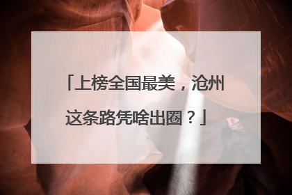 上榜全国最美，沧州这条路凭啥出圈？