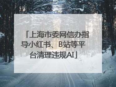 上海市委网信办指导小红书、B站等平台清理违规AI