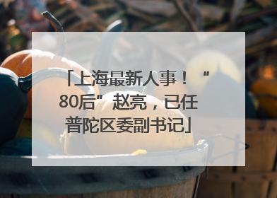 上海最新人事！“80后”赵亮，已任普陀区委副书记