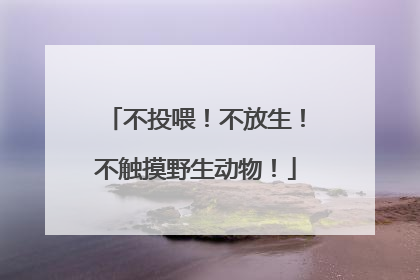 不投喂！不放生！不触摸野生动物！