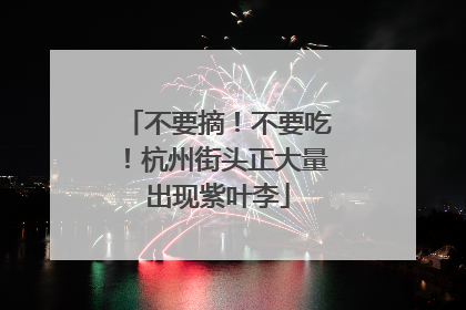 不要摘！不要吃！杭州街头正大量出现紫叶李