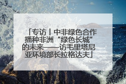 专访丨中非绿色合作播种非洲“绿色长城”的未来——访毛里塔尼亚环境部长拉格达夫