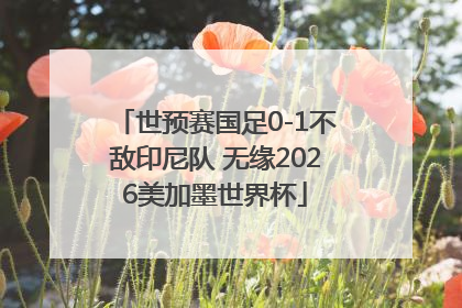世预赛国足0-1不敌印尼队 无缘2026美加墨世界杯