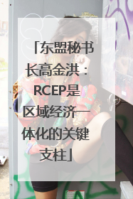 东盟秘书长高金洪：RCEP是区域经济一体化的关键支柱