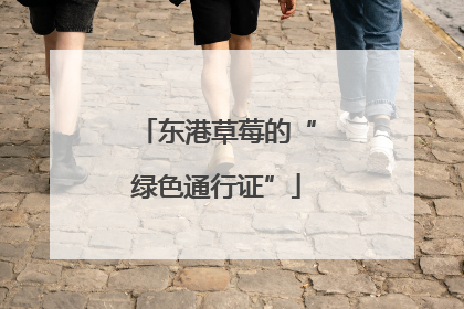 东港草莓的“绿色通行证”