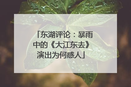 东湖评论：暴雨中的《大江东去》演出为何感人