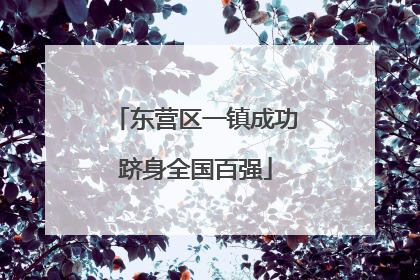 东营区一镇成功跻身全国百强