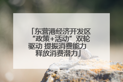 东营港经济开发区“政策+活动”双轮驱动 提振消费能力 释放消费潜力