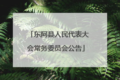 东阿县人民代表大会常务委员会公告