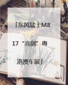 东风猛士M817“亮剑”粤港澳车展