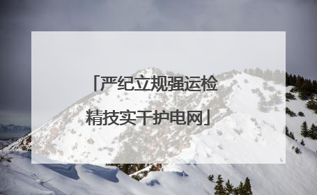 严纪立规强运检 精技实干护电网