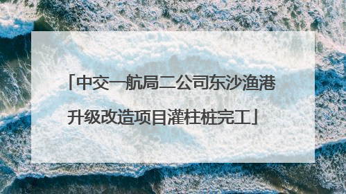 中交一航局二公司东沙渔港升级改造项目灌柱桩完工