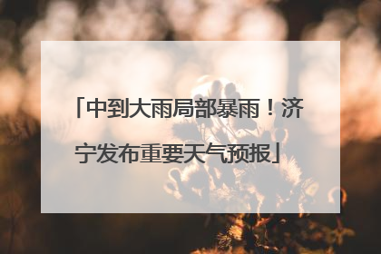 中到大雨局部暴雨！济宁发布重要天气预报