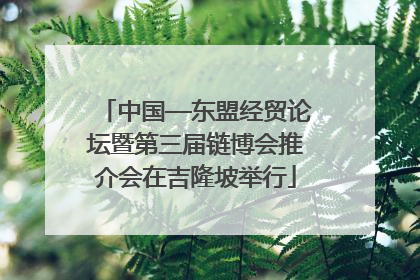 中国—东盟经贸论坛暨第三届链博会推介会在吉隆坡举行
