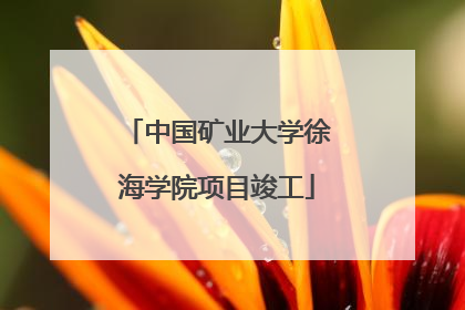 中国矿业大学徐海学院项目竣工