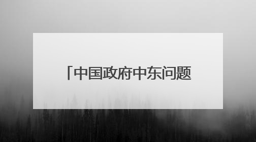 中国政府中东问题特使翟隽访问埃及