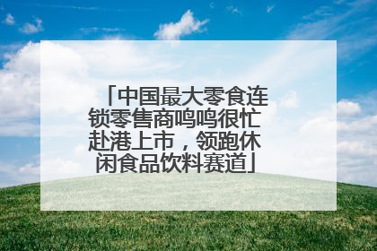 中国最大零食连锁零售商鸣鸣很忙赴港上市，领跑休闲食品饮料赛道
