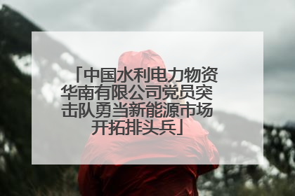 中国水利电力物资华南有限公司党员突击队勇当新能源市场开拓排头兵