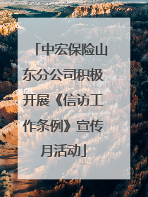 中宏保险山东分公司积极开展《信访工作条例》宣传月活动