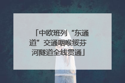 中欧班列“东通道”交通咽喉绥芬河隧道全线贯通