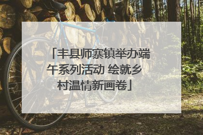 丰县师寨镇举办端午系列活动 绘就乡村温情新画卷