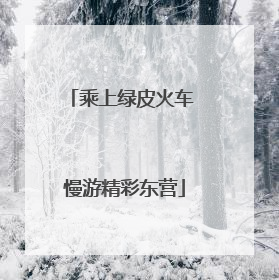 乘上绿皮火车 慢游精彩东营