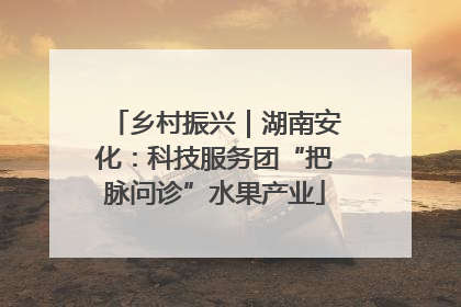 乡村振兴｜湖南安化：科技服务团“把脉问诊”水果产业